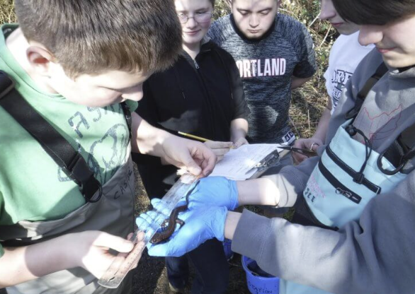 students measuring an animal