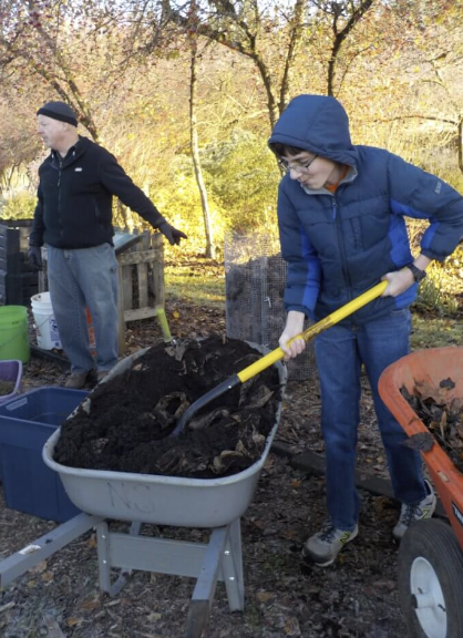 CASEE student collecting freshly sifted compost.