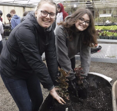 Students potting bare root plants for CASEE’s fundraising plant sale.