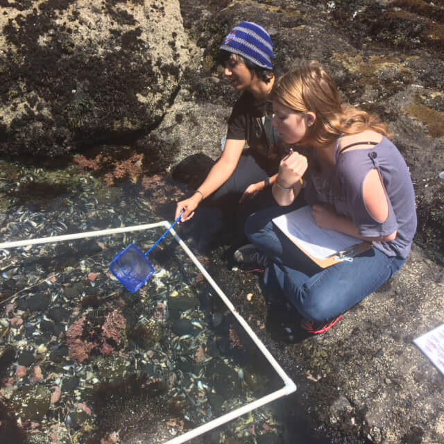 A man and a woman examining an underwater scene through a small window.