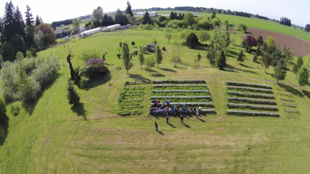 Aerial view of a small community garden with raised beds.