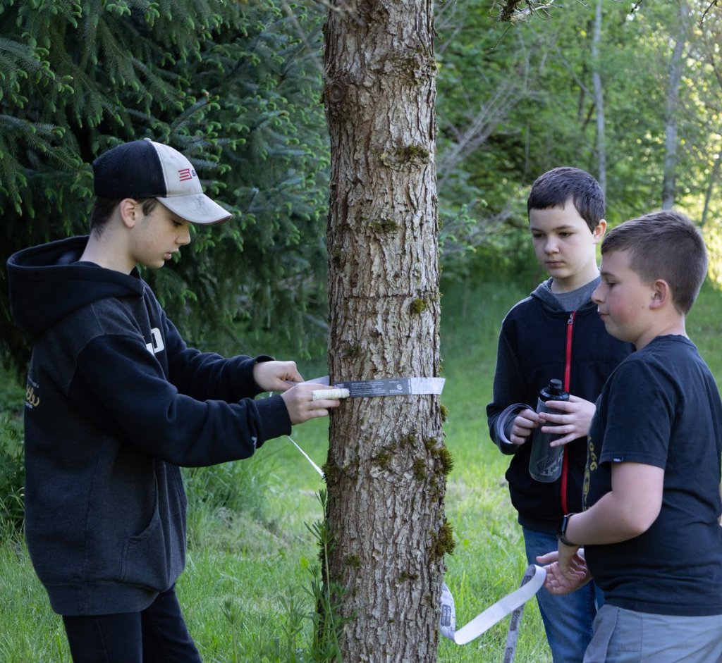 three students measuring a tree