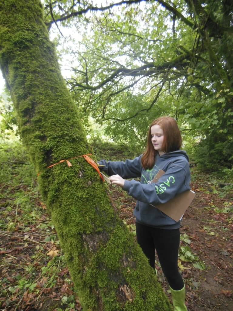 Person holding scissors, cutting a red ribbon on green mossy tree.