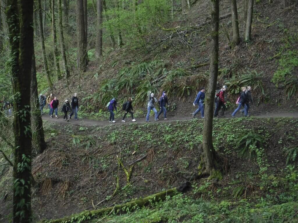 People hiking on a forest trail.