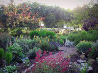 A serene garden filled with a variety of vibrant flowers and plants, inviting relaxation and enjoyment.