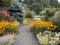 A winding garden path surrounded by blooming flowers, inviting a peaceful stroll.