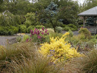 A vibrant garden with a variety of colorful flowers.