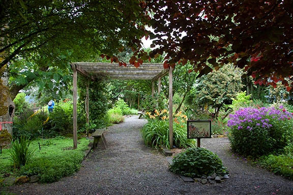 A charming garden path, inviting exploration amidst nature's beauty.