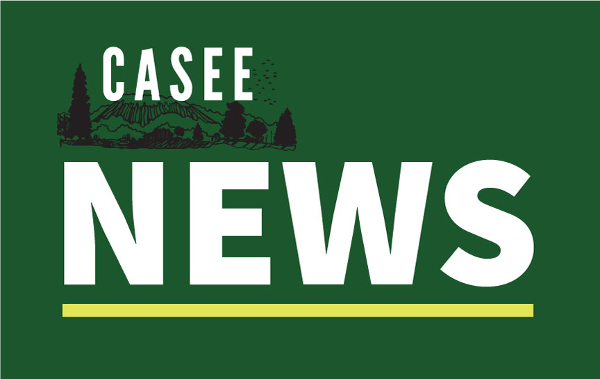 News CASEE