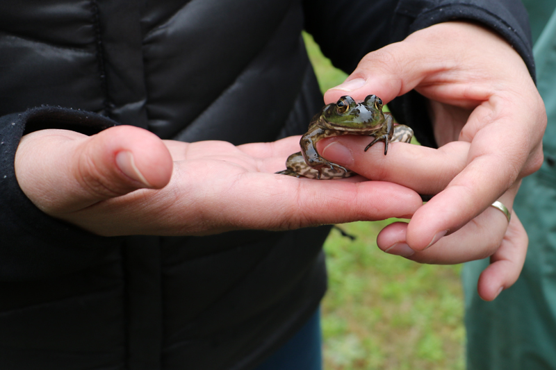 casee students work in nature