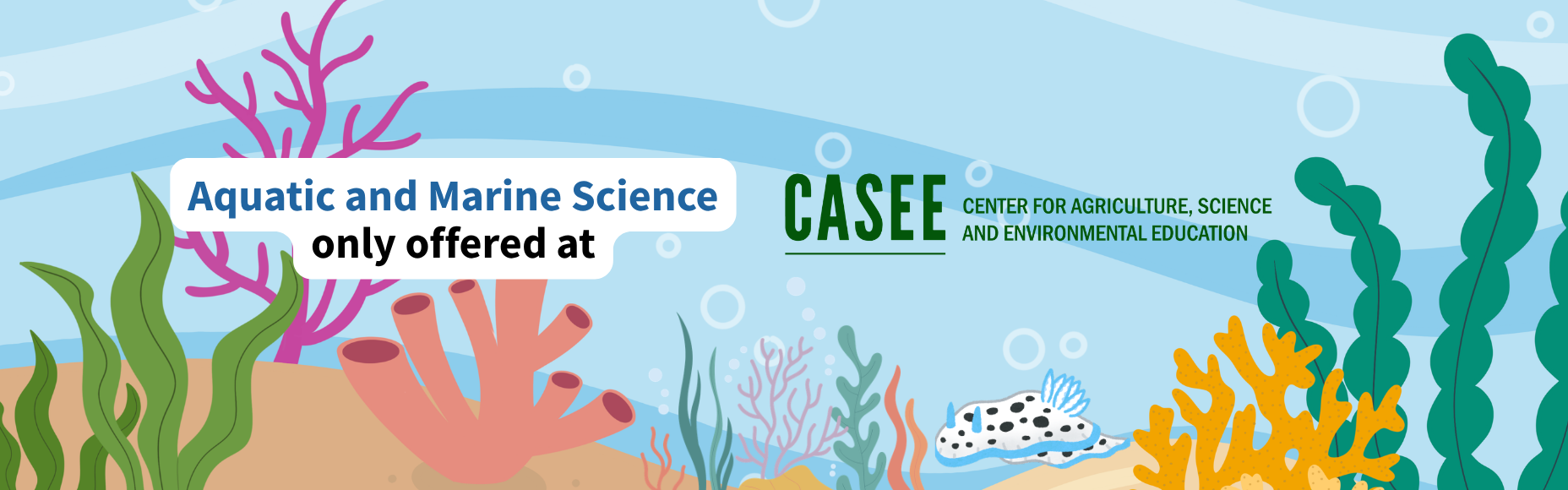 marine science at casee