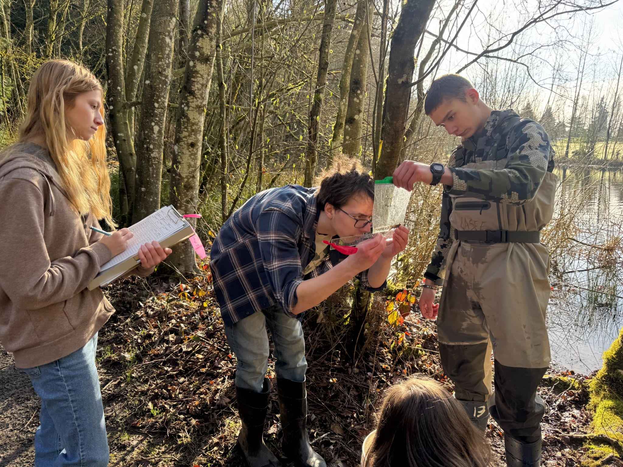 casee students measure a little creature