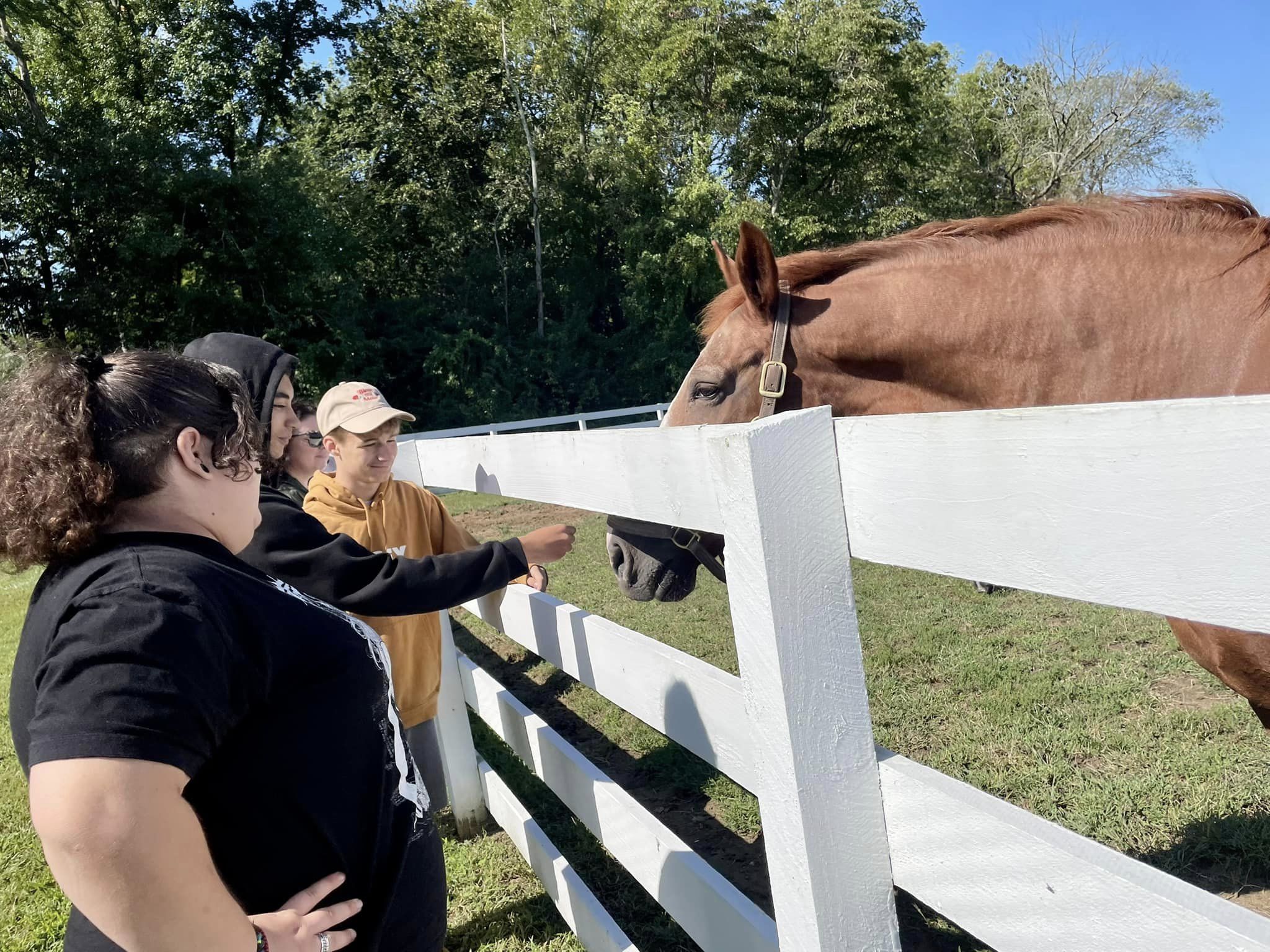 Two women petting a brown horse over a wooden fence.