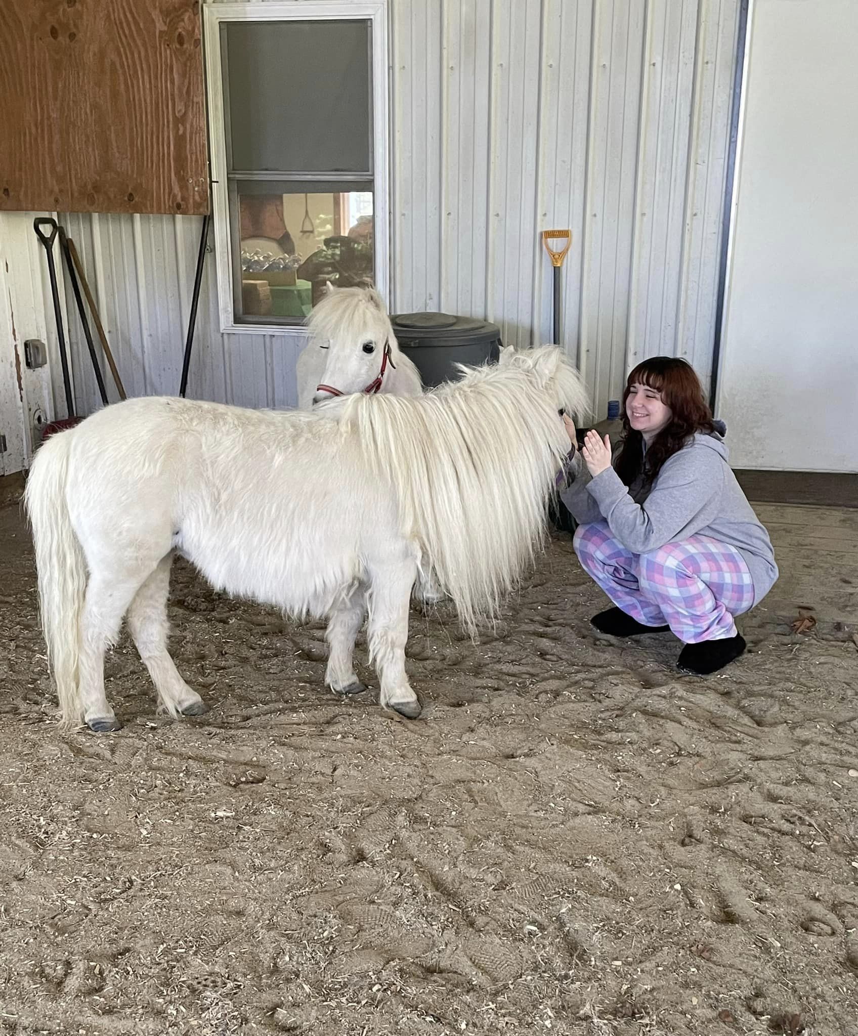 student petting pony