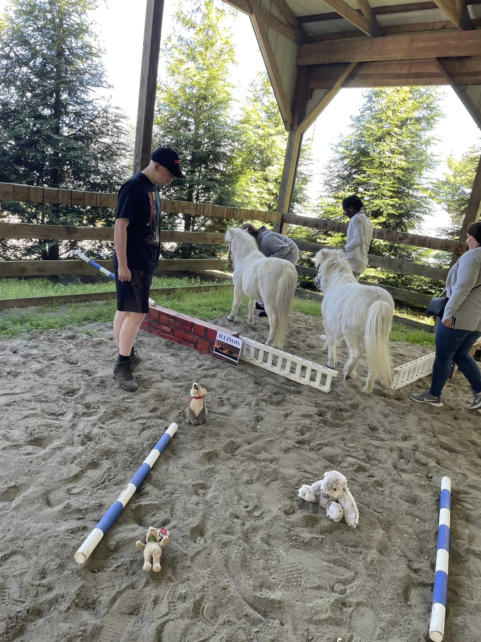 students rounding up ponies