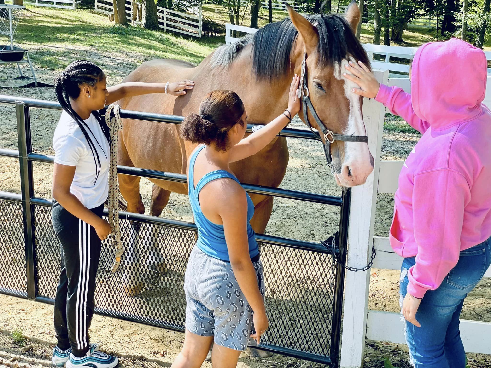students petting horse