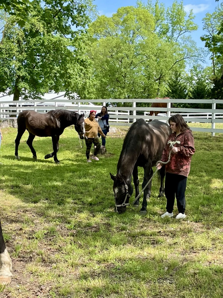 Students at equine therapy