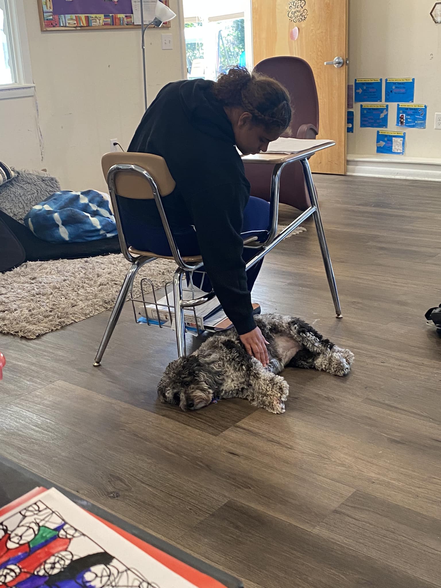 k-9 therapy session