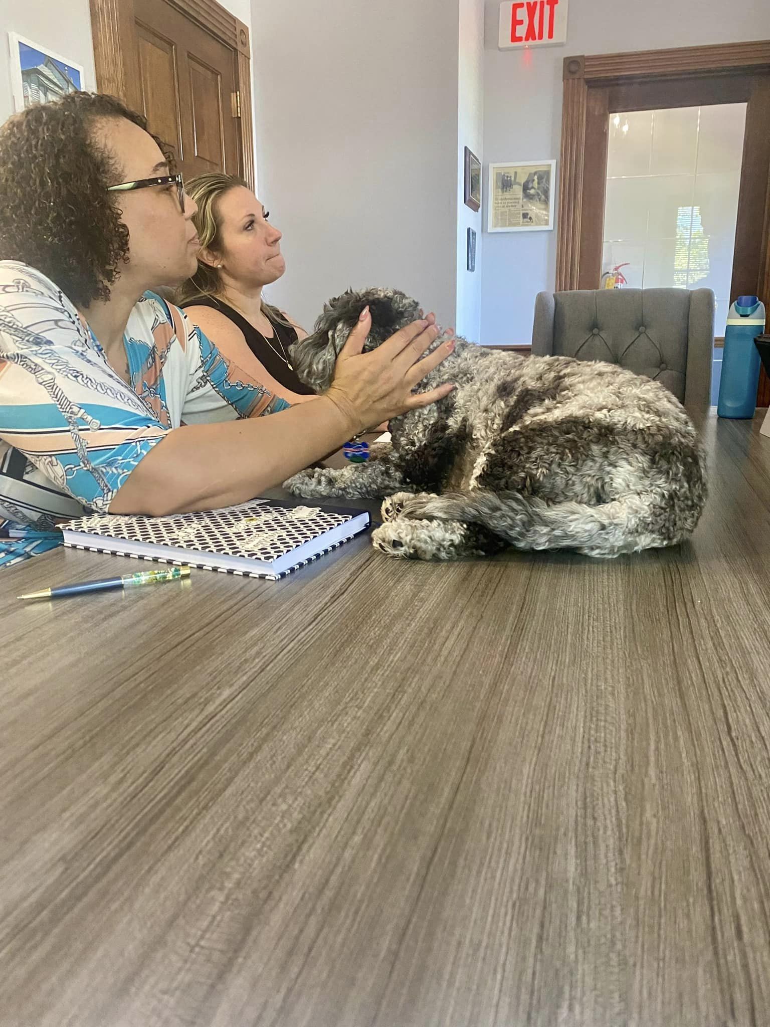 k-9 therapy session