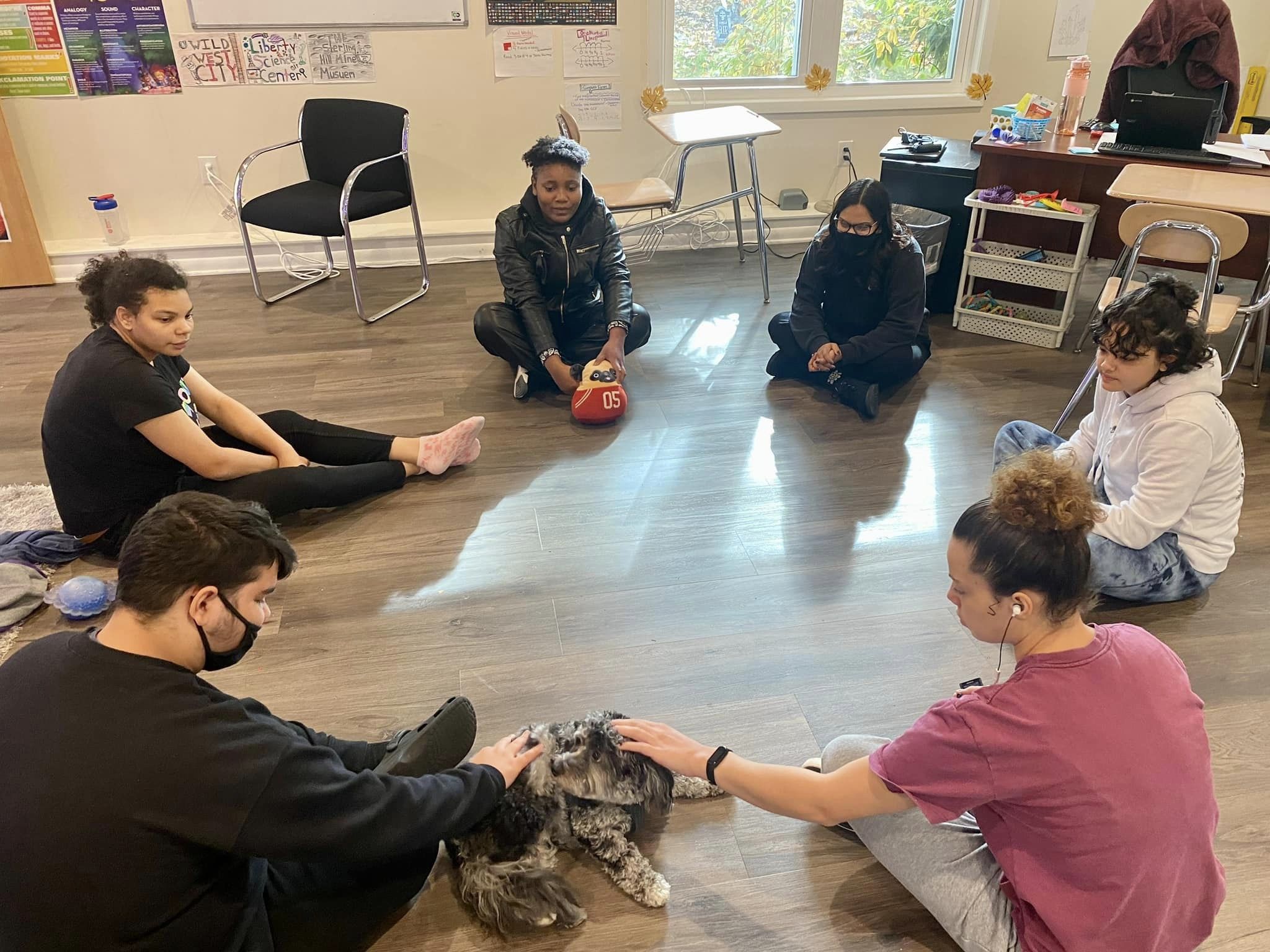 k-9 therapy session
