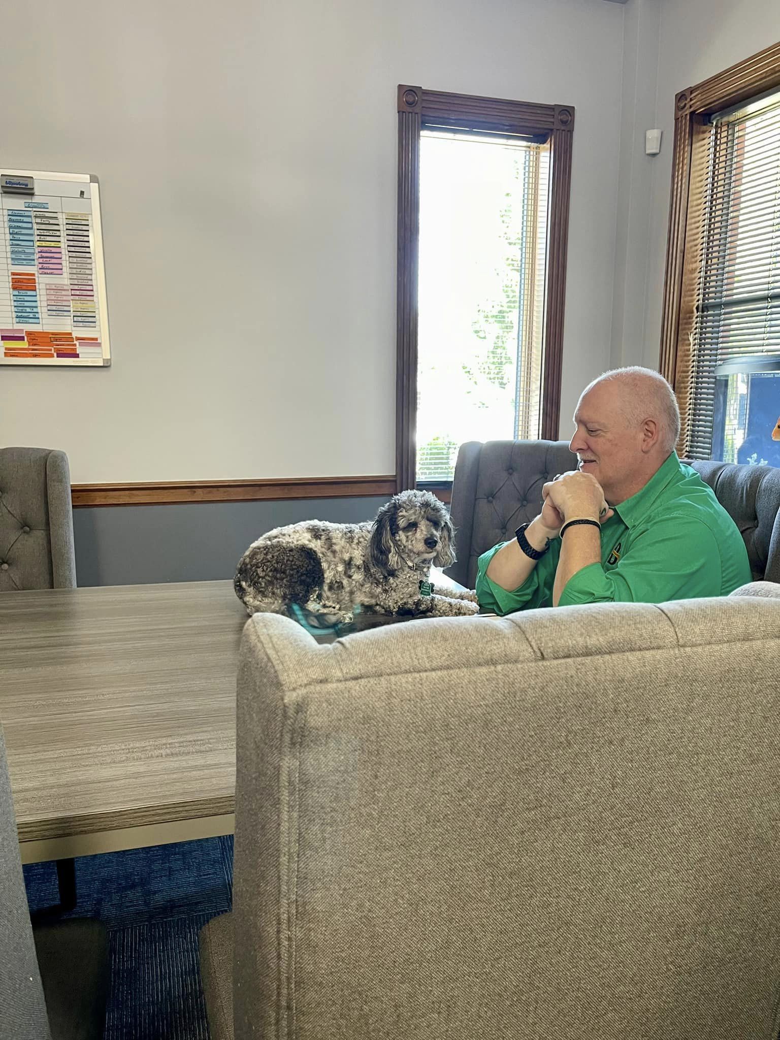k-9 therapy session