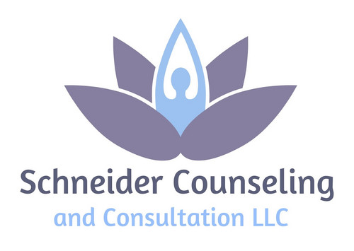 Schneider Counseling & Consultation LLC logo