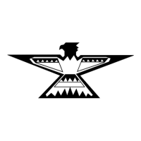 tbird