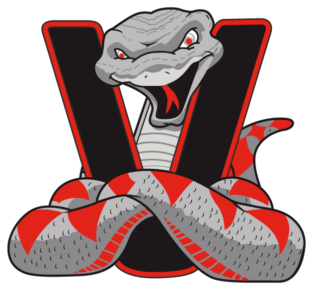 Val Vista Viper Mascot