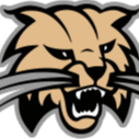 Addaville wildcat logo