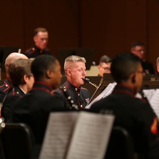 Musicians in orchestra