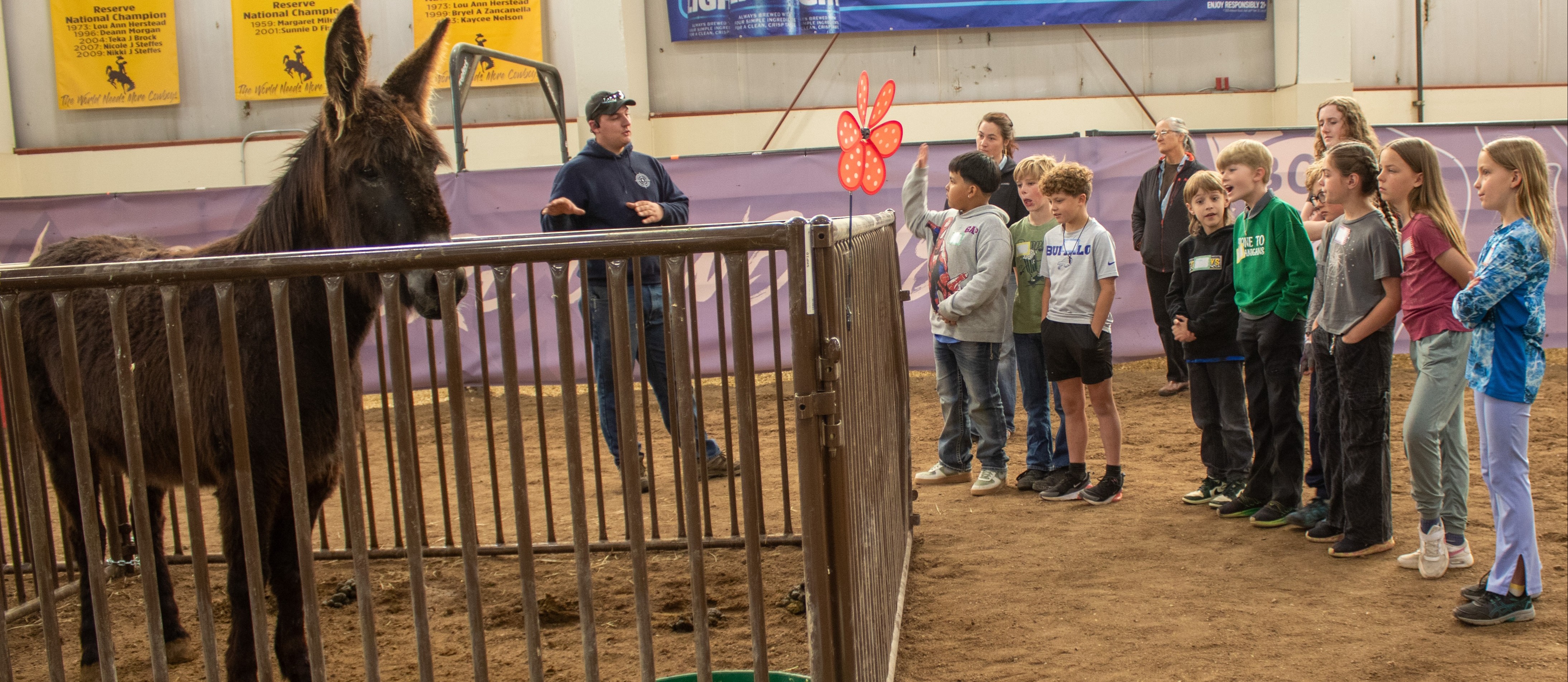 Group of students looking at a donkey
