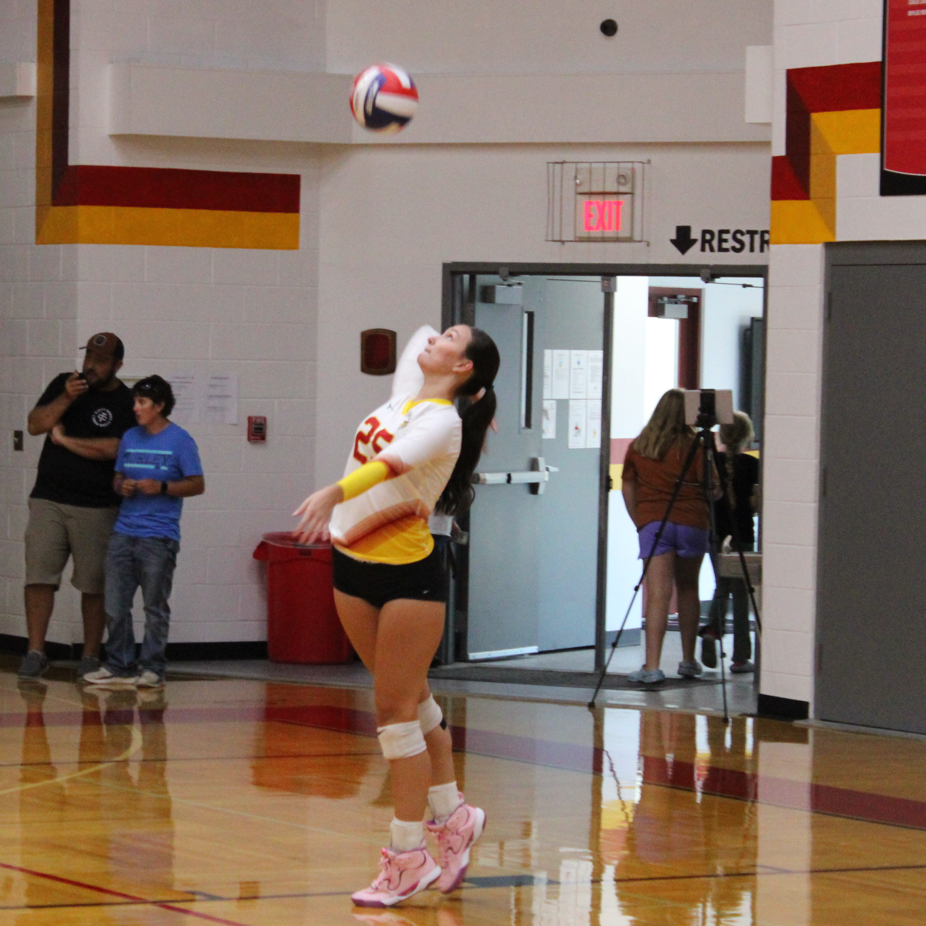 Volleyball player