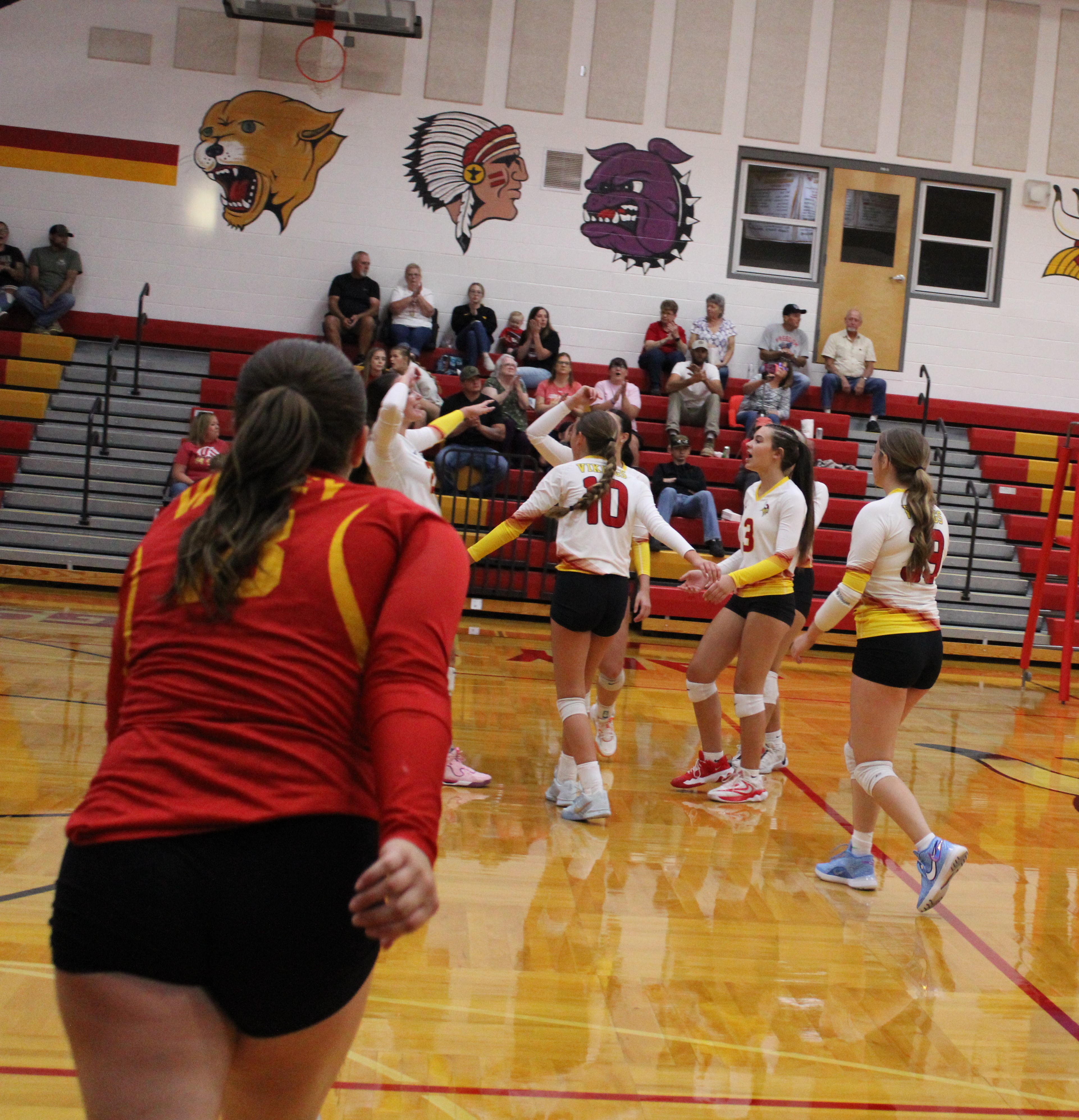 Volleyball game