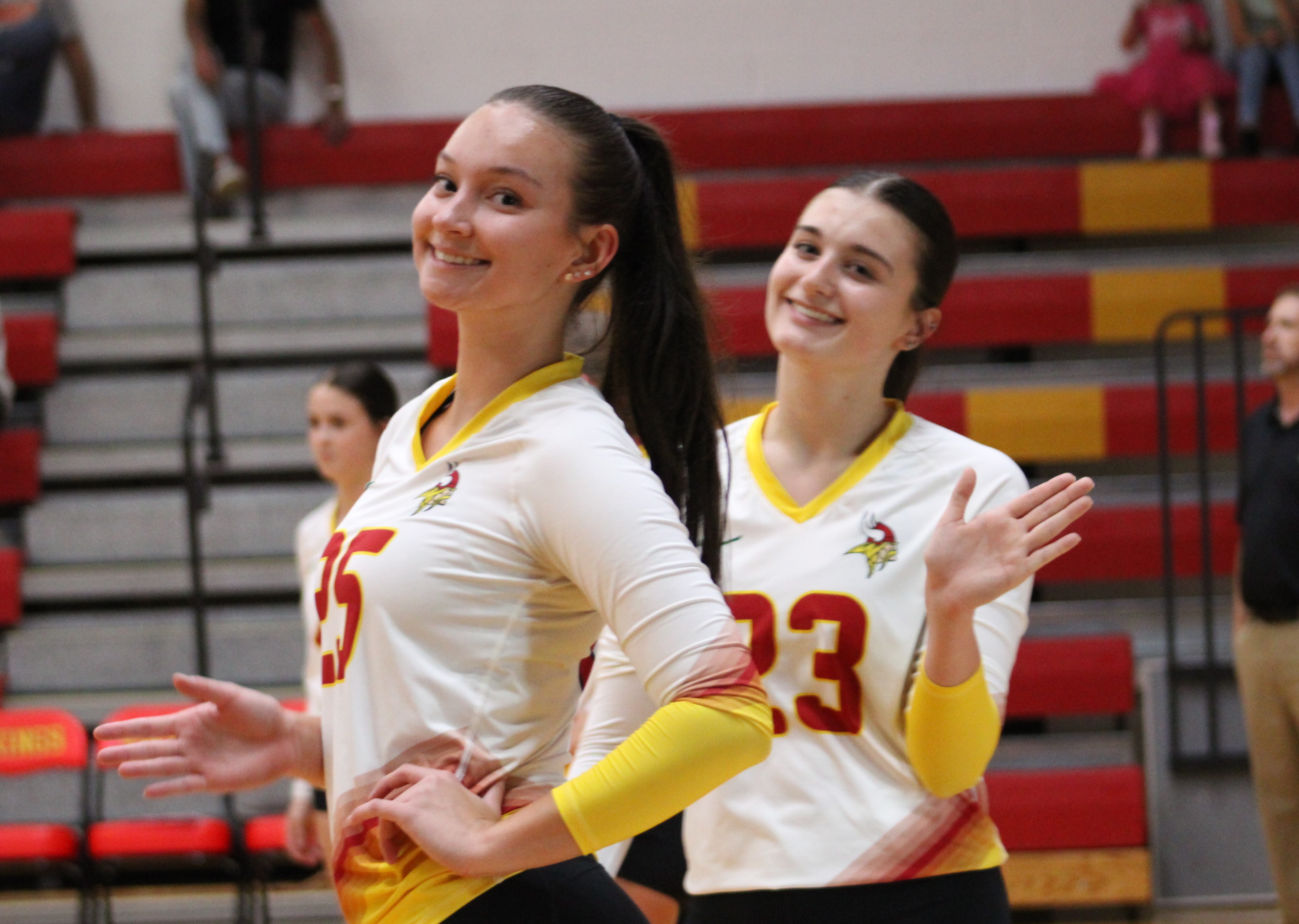 Volleyball player