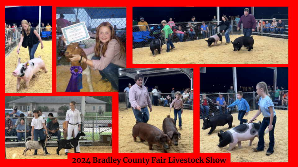 Bradley County Fair 2024