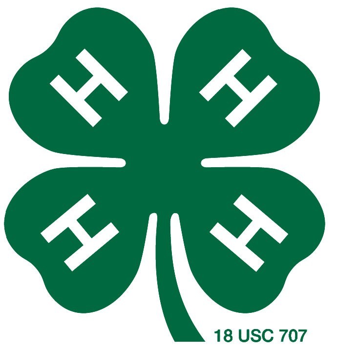 four leaf clover