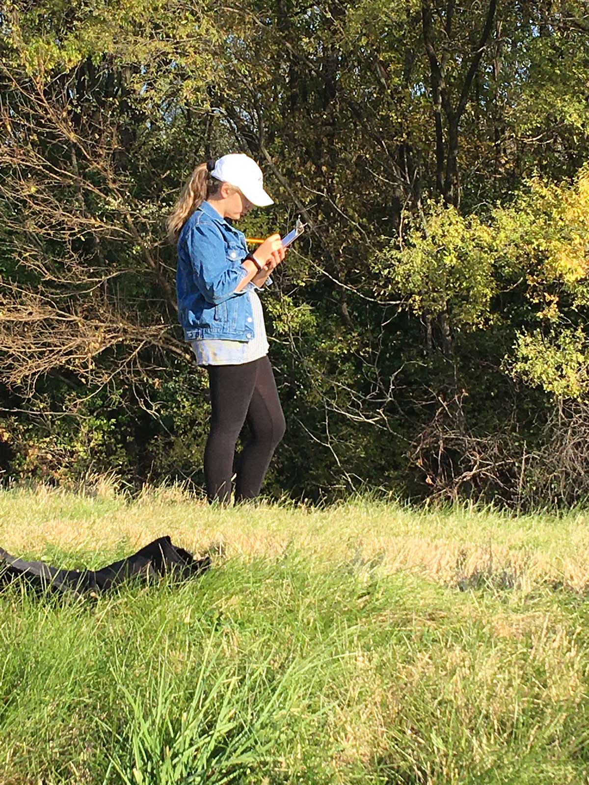 Woman standing in field, checking phone.