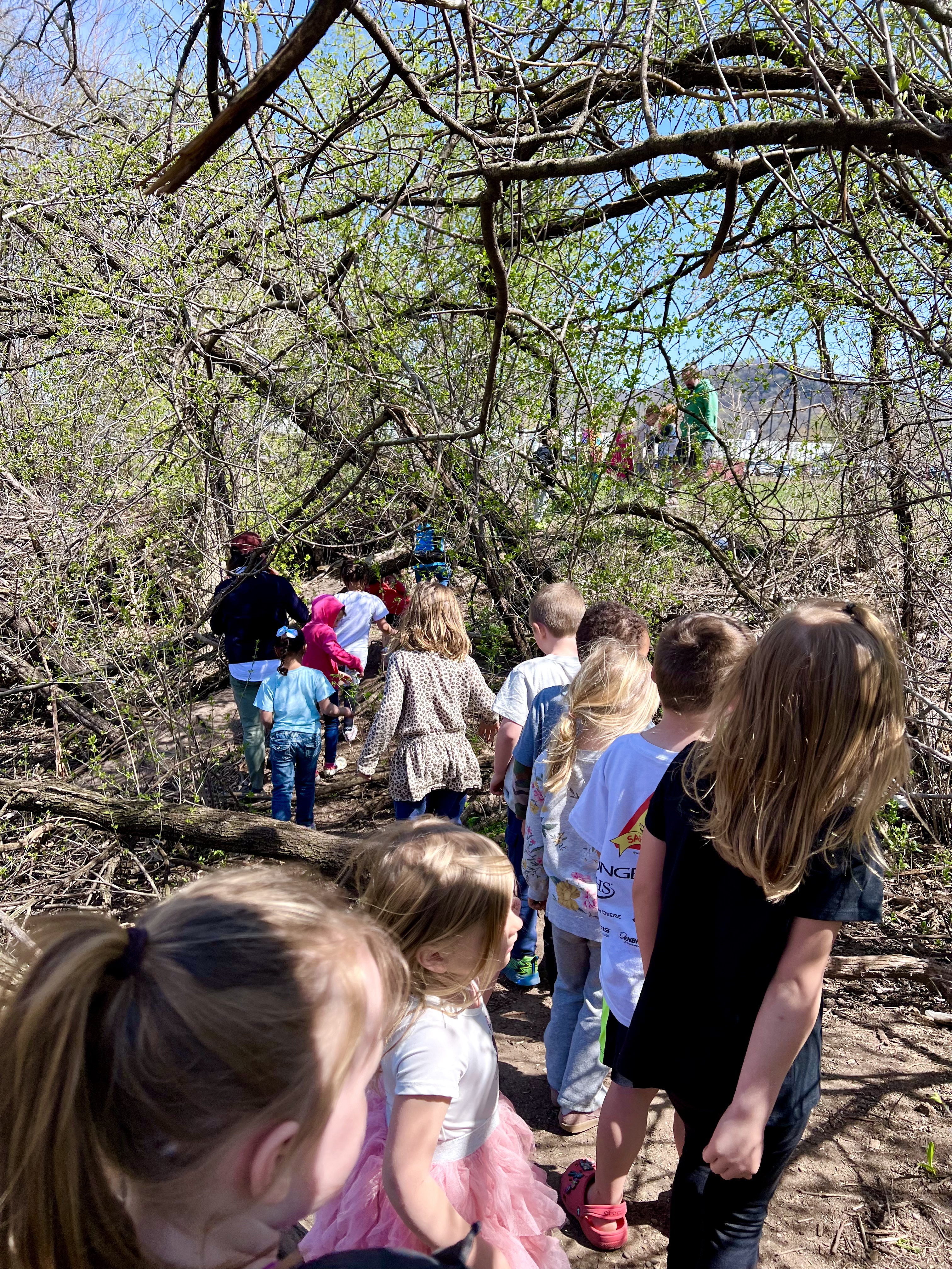 Preschool and Kindergarten students playing in the trees.