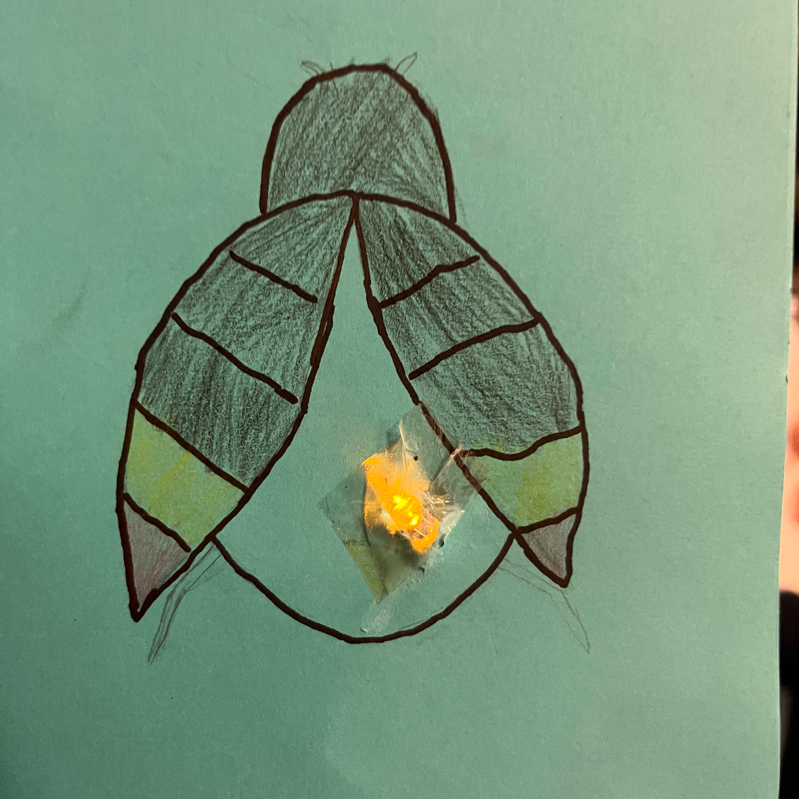 Picture of a bug with a electric light.