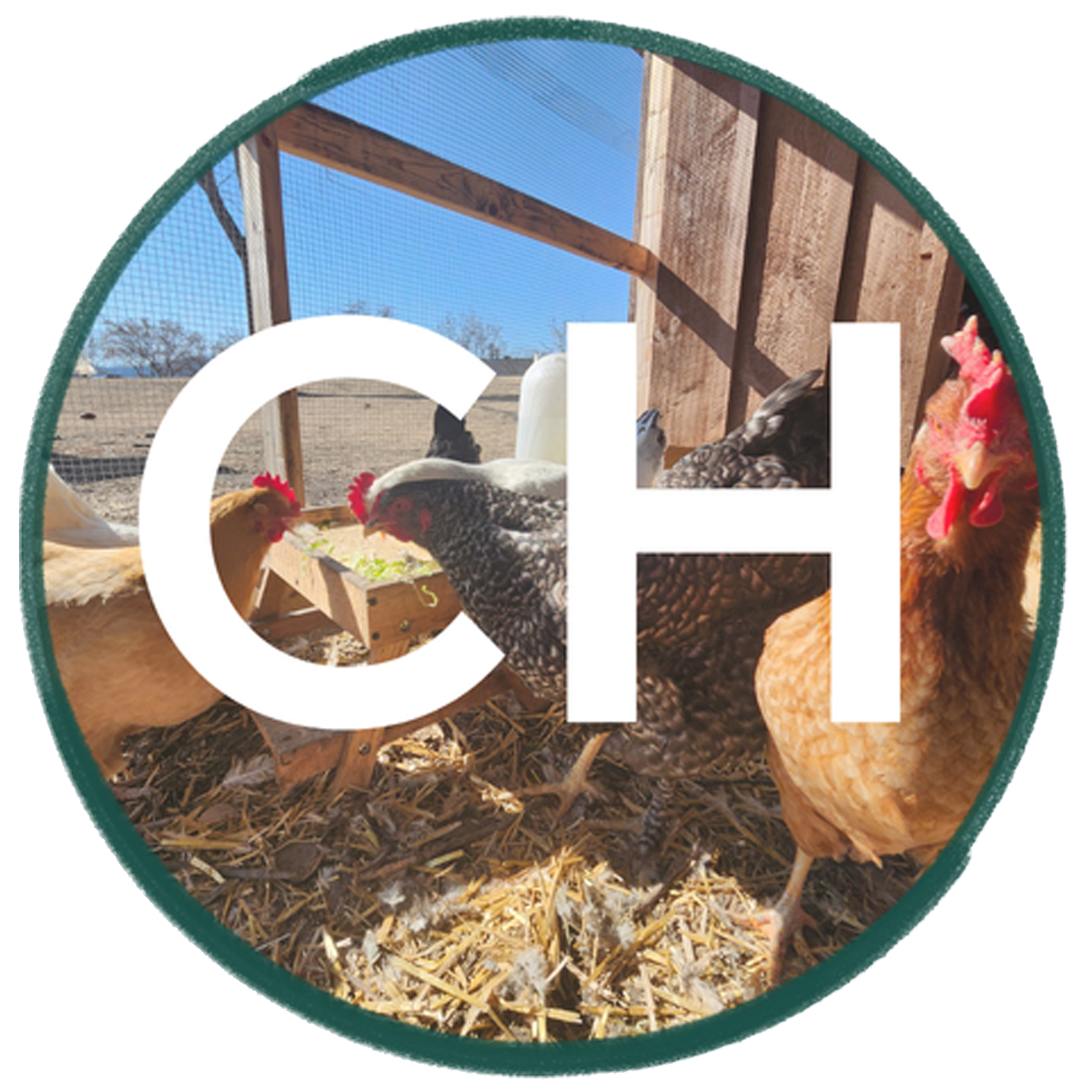 Children's House Newsletter Image