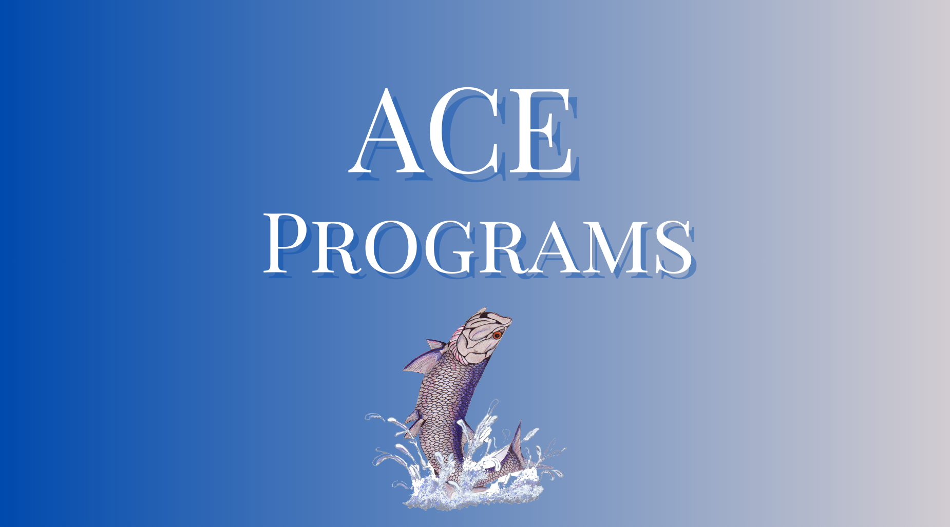 ACE
