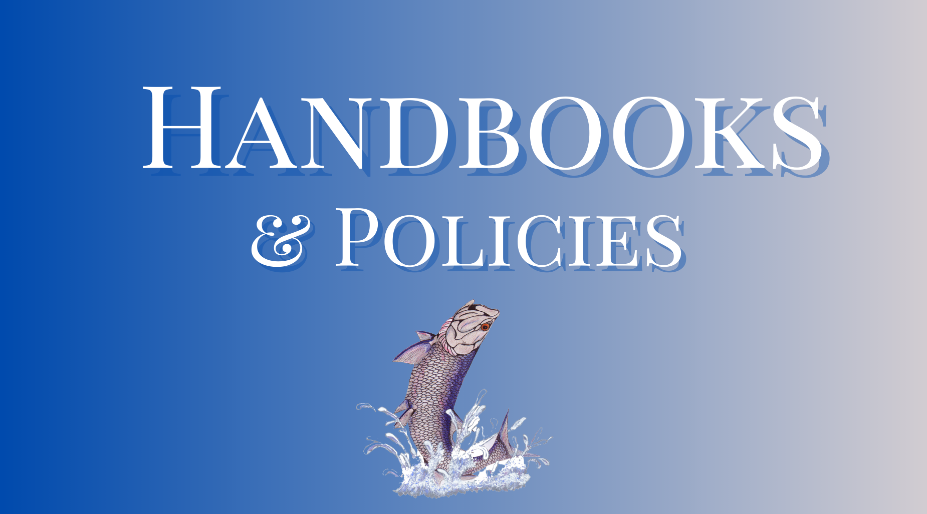 Handbooks