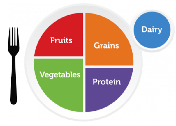 plate of food components