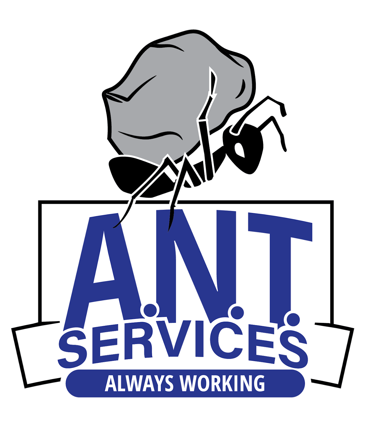 ANT Services