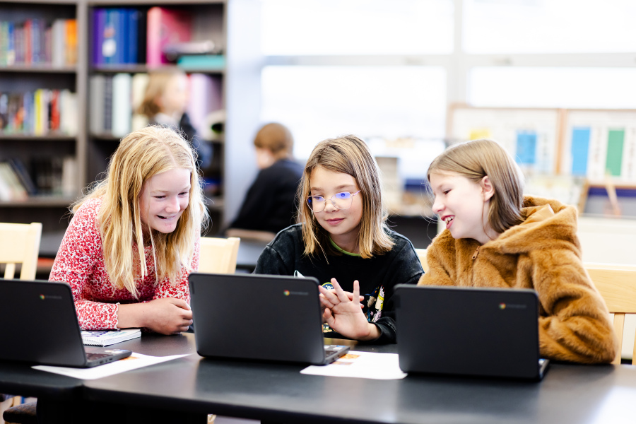 students on laptops