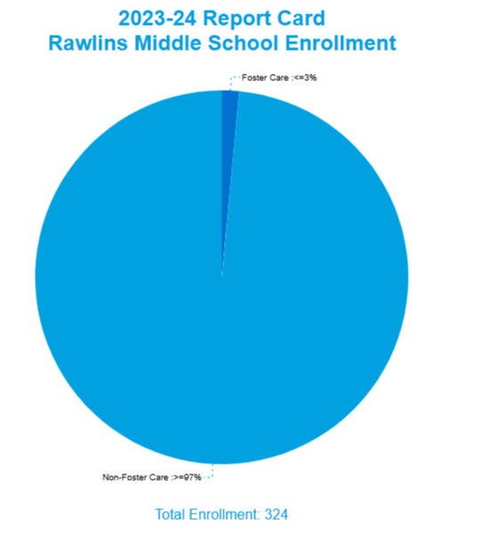 Rawlins Middle School Enrollment by Foster Care Status