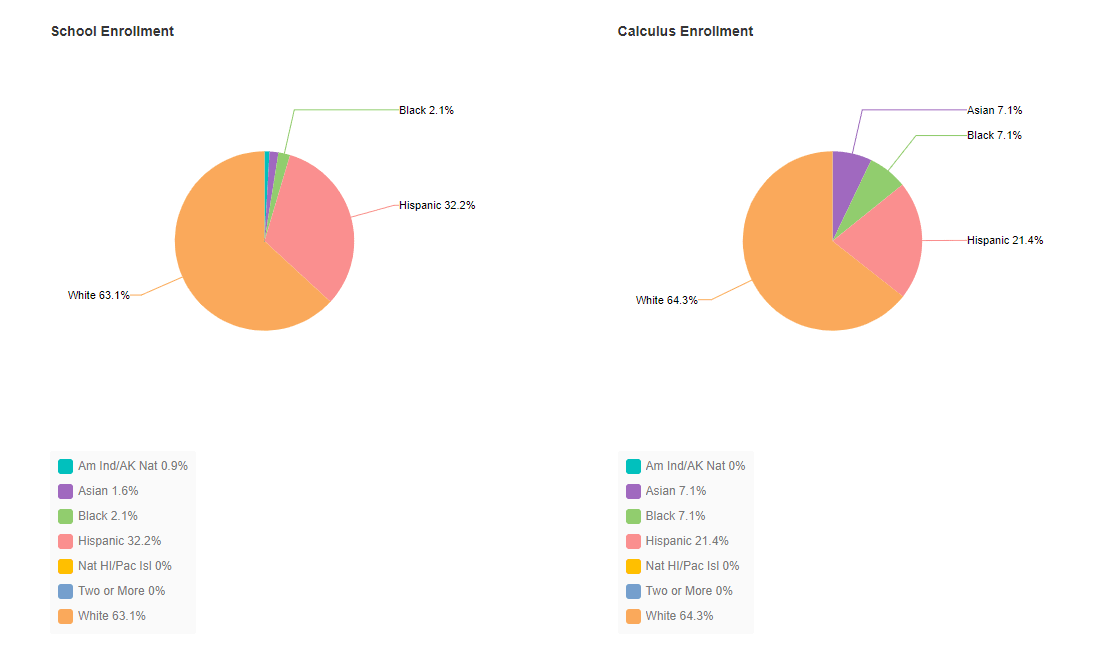 school enrollment