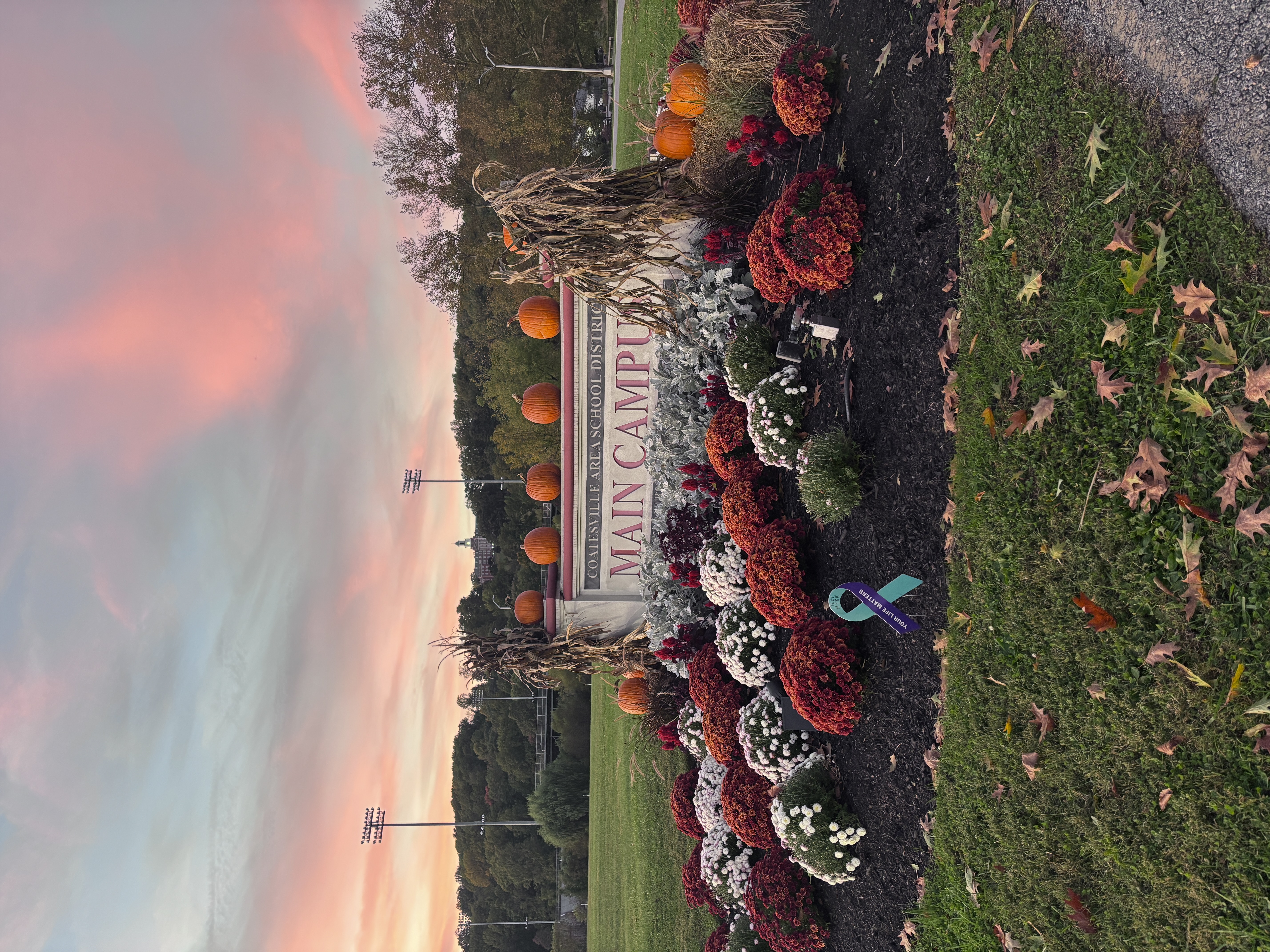 entrance sign to main campus with cotton candy clouds in the background, and the sign embellish with fall decors like mums and pumpkins