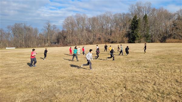 A group of people playing frisbee in a grassy field.