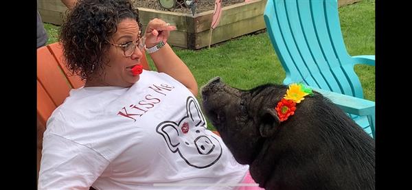 Woman in white shirt feeding a pig on a farm.